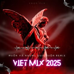 Việt Mix -MVNQM Remix